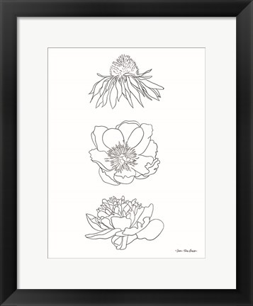 Framed Hand Drawn Flowers Print