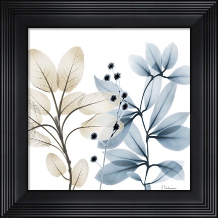 Framed Solar Opposites 1 Print