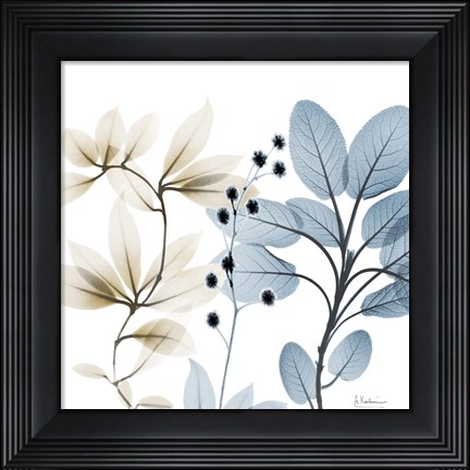 Framed Solar Opposites 2 Print
