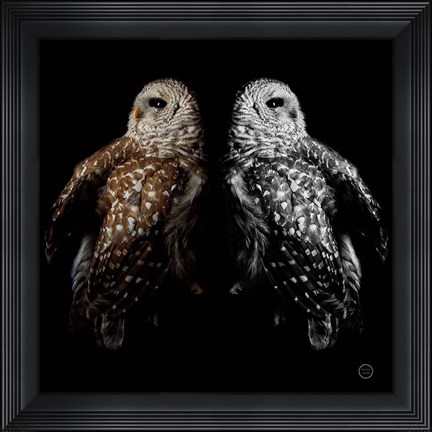 Framed Still a Life Print