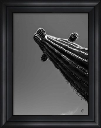 Framed King II Print