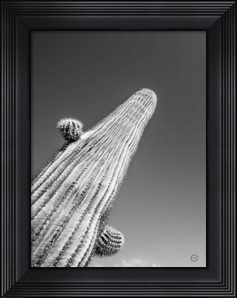 Framed King I Print