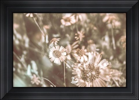 Framed Flower Power Print