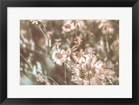 Framed Flower Power Print