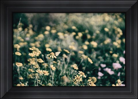 Framed Field Friends Fade Print