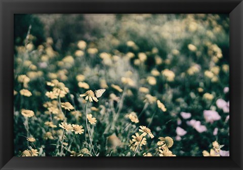 Framed Field Friends Fade Print