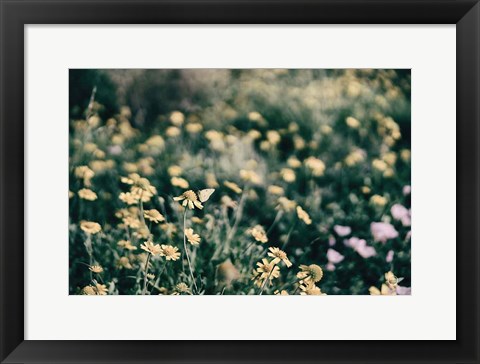 Framed Field Friends Fade Print