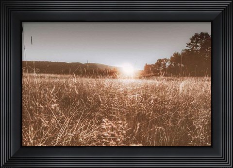 Framed Fields of Gold Print