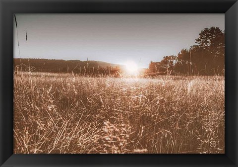 Framed Fields of Gold Print