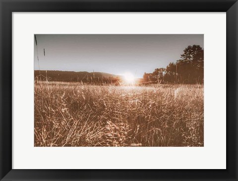 Framed Fields of Gold Print