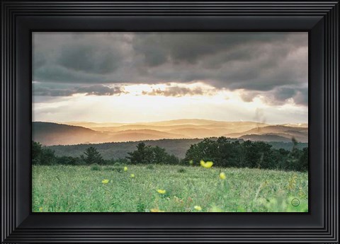 Framed Laying in the Flowers Print