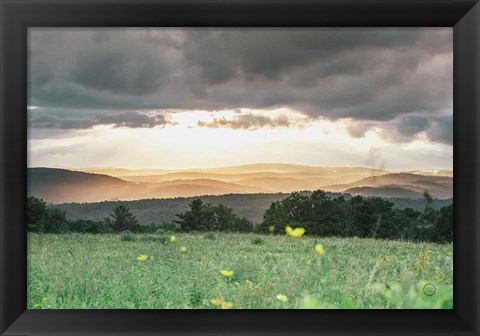 Framed Laying in the Flowers Print