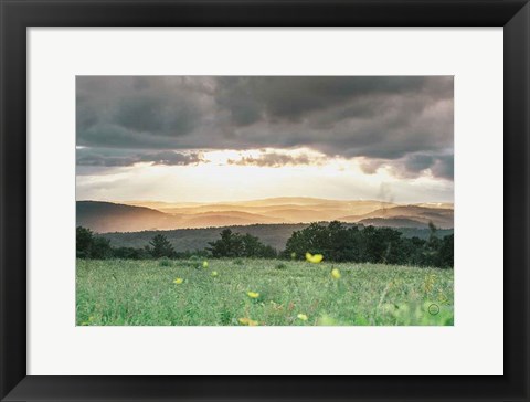 Framed Laying in the Flowers Print