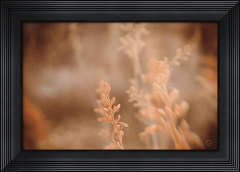 Framed Texas Wild Print
