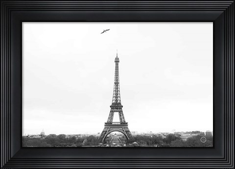 Framed Birds View of Paris Crop I Print
