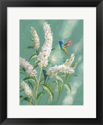 Framed Hummingbird Spring II Print