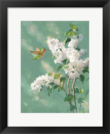 Framed Hummingbird Spring I Print