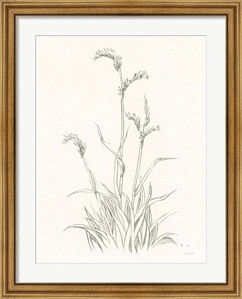 Framed Farm Nostalgia Flowers V Dark Gray Print