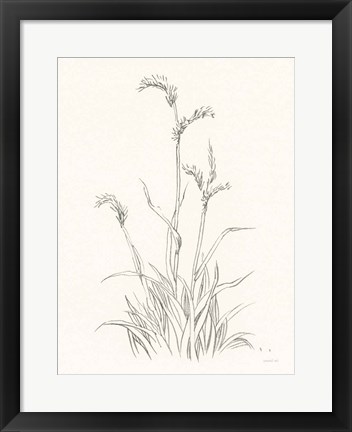 Framed Farm Nostalgia Flowers V Dark Gray Print