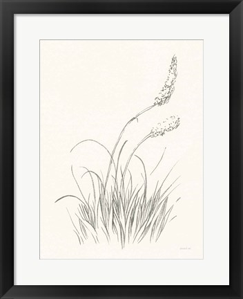 Framed Farm Nostalgia Flowers IV Dark Gray Print