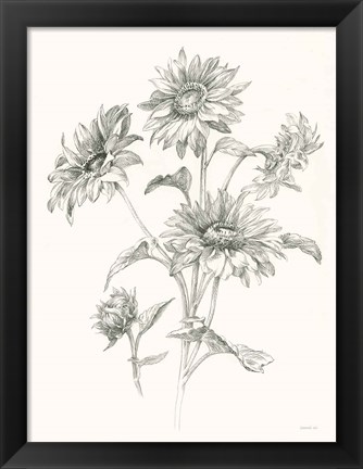 Framed Farm Nostalgia Flowers I Dark Gray Print