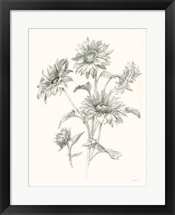 Framed Farm Nostalgia Flowers I Dark Gray Print