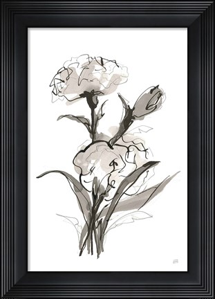 Framed Carnation II Print