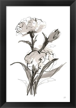 Framed Carnation II Print