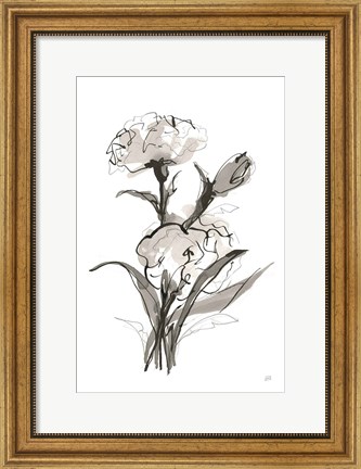 Framed Carnation II Print