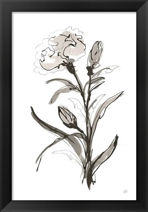 Framed Carnation I Print