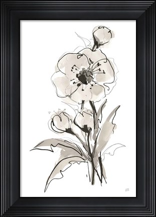 Framed Poppy II Print