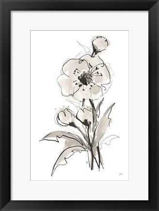 Framed Poppy II Print