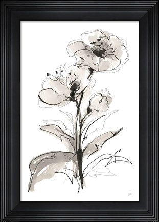 Framed Poppy I Print