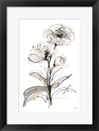 Framed Poppy I Print