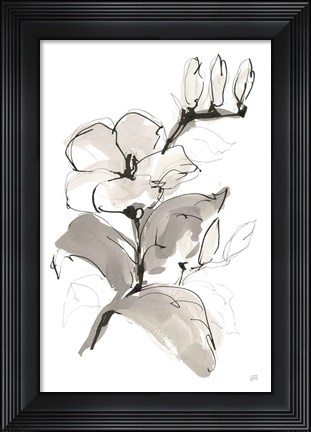 Framed Magnolia II Print