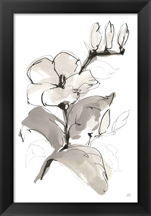 Framed Magnolia II Print