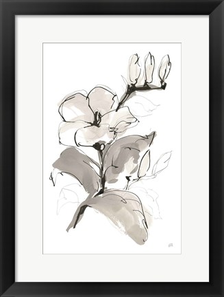 Framed Magnolia II Print