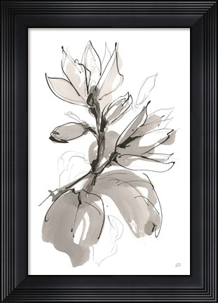 Framed Magnolia I Print