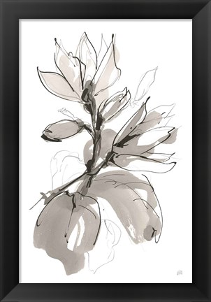 Framed Magnolia I Print