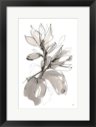 Framed Magnolia I Print