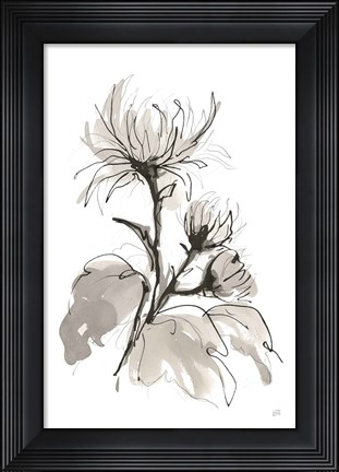Framed Chrysanthemum I Print