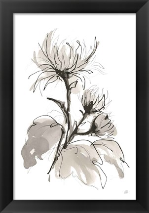 Framed Chrysanthemum I Print