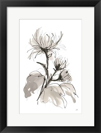 Framed Chrysanthemum I Print
