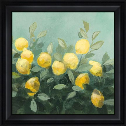 Framed Lemon Grove II Print