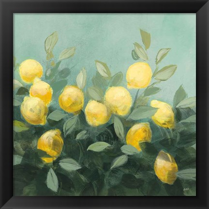 Framed Lemon Grove II Print