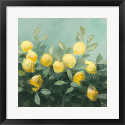 Framed Lemon Grove II Print