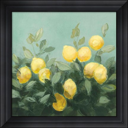 Framed Lemon Grove I Print