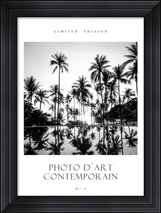 Framed Photo D&#39;Art No 5 Print