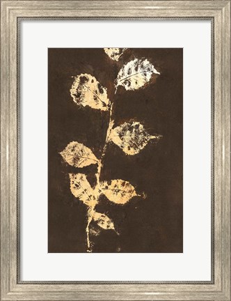 Framed Pure Nature 4 Print