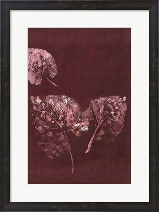 Framed Pure Nature 5 Print